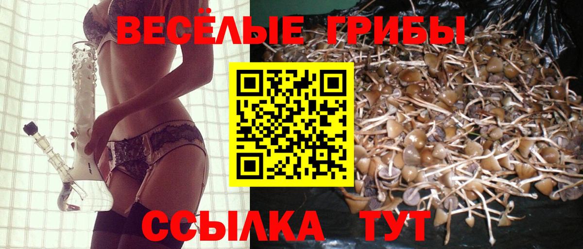 Псилоцибиновые грибы прущие грибы  Псилоцибиновые грибы GOLDEN TEACHER  Бутурлиновка  Вход с VPN 