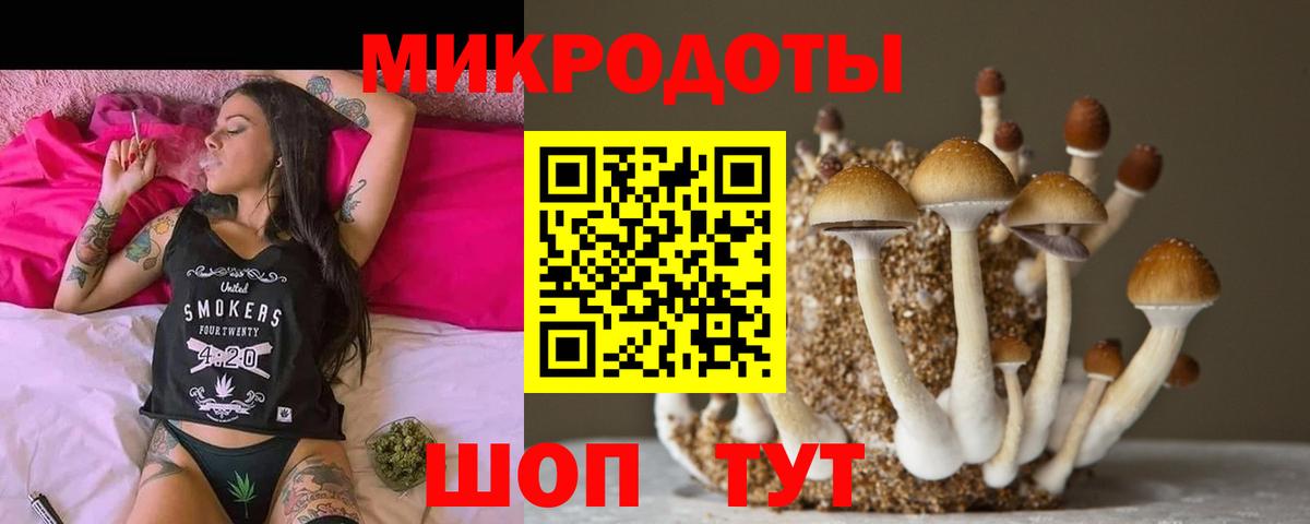 Галлюциногенные грибы Magic Shrooms Бутурлиновка